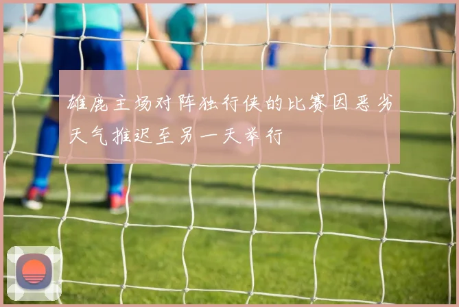 雄鹿主场对阵独行侠的比赛因恶劣天气推迟至另一天举行